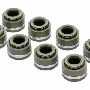 Phớt ghít su páp 740.1007262-01